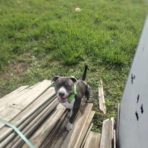 Meet your Posher, Damian